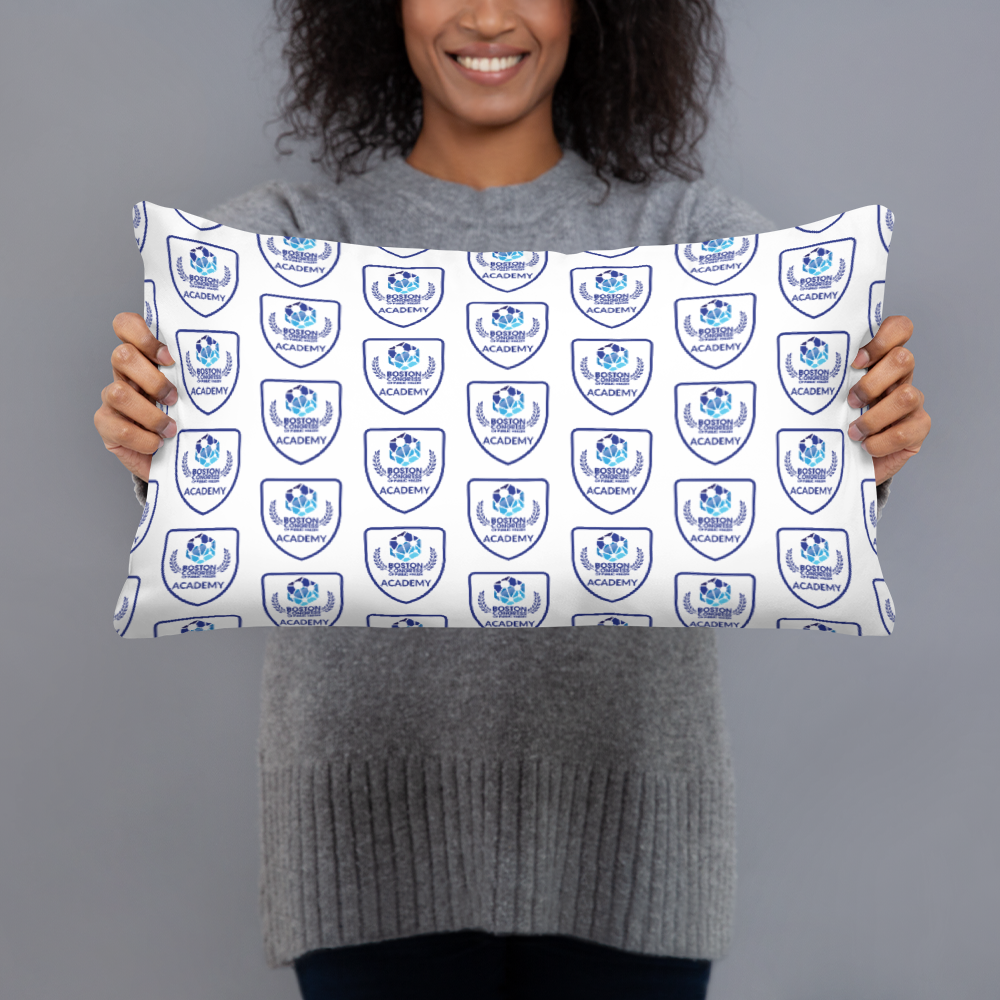 BCPH Academy Pillow/Friend